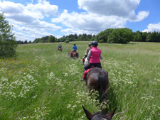 Poland-Highlands-Bieszczady Mountains Ride